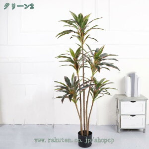 1000~OFFN[| tFCNO[ zj hZi ^ lHϗtA  bNX  ~  CeA ItBX v[g ϗtA ^ 傫  lH 