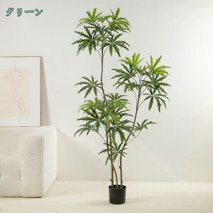 tFCNO[ sv ͂Ȃ QȂ lHϗtA hZi CeA ItBX   ~͐A ȁے̖ A tFCNϗtA ptFCNO