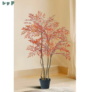 ou[ lH| AWA CeA  tFCNO[ 傫 lHϗtA Vzj JXj zj  ϗtA tFCN lHA   bNX A lH ͂Ȃ 