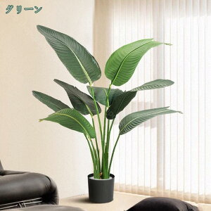 Ɋy ϗtA tFCNO[ V  lH rO ItBX l炵   CeA lH  lHϗtA i` _ k sv OlOlȂ