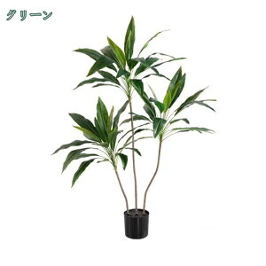 Xg`AEMl AWA CeA  tFCNO[ 傫 lHϗtA Vzj JXj zj  ϗtA tFCN lHA   bNX A lH ͂