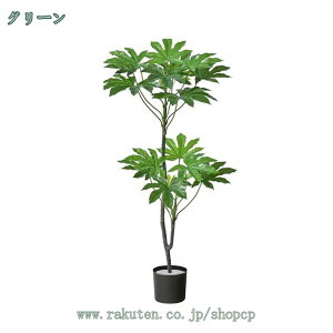 pL ϗtA tFCNO[ V  lH rO ItBX l炵   CeA lH  lHϗtA i` _ k sv OlOlȂ