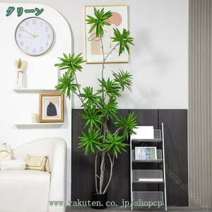 tFCNO[ hZi ^ lH ϗtA Aؔ 傫  rO ItBX c X ze Q  CeAO[ Vzj VXj JXj JƏj zj 