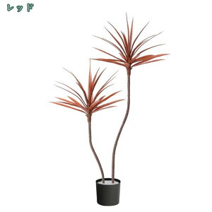 1000~OFFN[| ϗtA lHϗtA sv Ϗܗp CeAO[ tFCNO[ ϗt   ItBX A A K^̖ ̂Ȃ sv hZi j