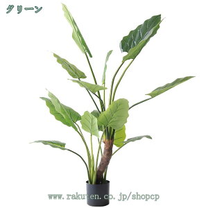 NYC tFCNA lHA tFCNO[ ϗtA lHϗtA A CeA A { ^  CeA  lHϗt ItBX Q   V