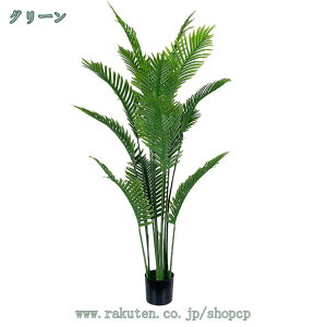 ϗtA AJV K̖ tFCNO[ lHϗtA Ϗܗp   sv ͂Ȃ lHA 킢 gC  ʏ CeA A RpNg ډB Mtg