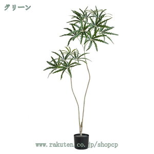 2000~OFFN[| lHϗtA tFCNO[ Mт̐lHA hZi  ϗt lHϗtA  tFCNc[ ^ lH Aȗt z[ItBX rO[ ֑