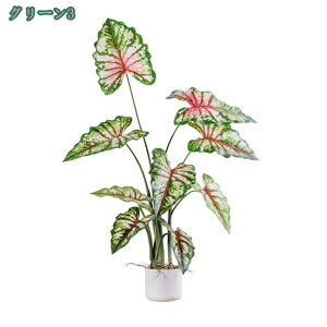 1000~OFFN[| tFCNO[ NYC lHϗtA A ^ 傫  tFCNϗtA CeAO[ A z[ ItBX a rO[  K 