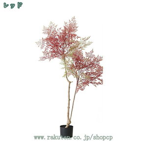 ou[ | ϗtA lH tFCNO[  i` V k _ l炵  CeAO[  lHA lHϗt A Vzj JXj 傫 