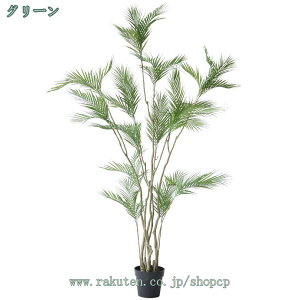 tFCNO[ AJV V̖ ϗA lHϗt ϗtA tFCN  Vv a m ItBX ܂ CeA ^ A {  lH j 