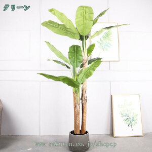 2000~OFFN[| lHϗtA tFCNO[ zj mԂ̖ lHA A CeAO[ a JXj j v[g Mtg  ̊ϗt  a 