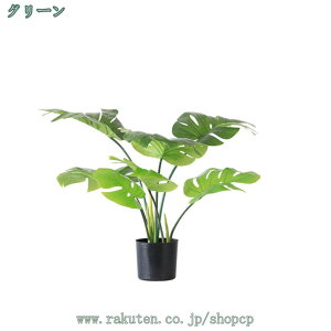 1000~OFFN[| lHϗtA tFCNO[ zj Xe lHA A CeAO[ a JXj j v[g Mtg  ̊ϗt  a