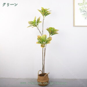 1000~OFFN[| lHϗtA tFCNO[ zj KW} lHA A CeAO[ a JXj j v[g Mtg  ̊ϗt  a