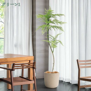 tFCNO[ WJ_̖ ϗA lHϗt ϗtA tFCN  Vv a m ItBX ܂ CeA ^ A {  lH j ̓