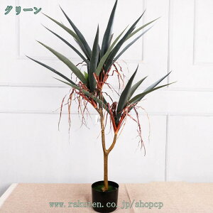 OWIX ϗtA ^ j { tFCNO[ K̖ zj Vzj JXj ړ]j CeA  ItBX Mtg v[g  AWA A 