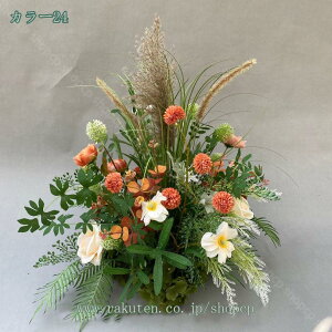  VNt[ o lHA CeA tFCNt[ ϗtA O   A Xܑ  ނ Iȑ p tFCNO[  Ԕg