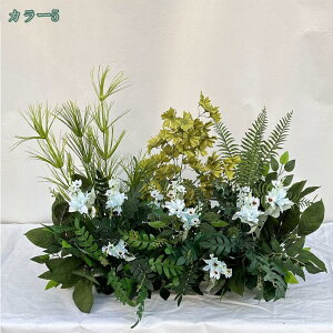 2000~OFFN[|  ϗtA ỏ CeA O t[AWg {  N₩ ׍HJ sv ͂Ȃ X܏ ނ Iȑ CeA