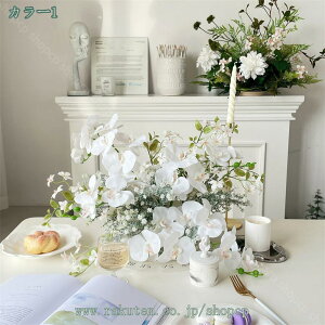 2000~OFFN[|  ϗtA VNt[ O  ̖΂ Õo o ItBX   X ɒu lHϗtA gݍ킹 Ԕ Ԃ̖΂ 뉀 sv Q