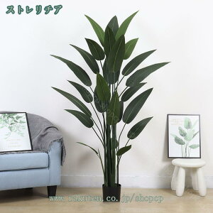 1000~OFFN[| tFCNO[ CeAO[ lH ϗtA tFCN  CeA Vzj JXj VN NX}X ItBX X  v[g Mtg 蕨  