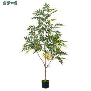 2000~OFFN[| CeAϗtA ^ lH  |bgt ԃc[ rO ItBX  傫 A A tFCNO[ lHϗtA lHϗt rOEItBX