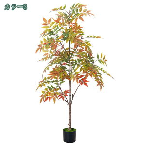 1000~OFFN[| CeAϗtA ^ lH  |bgt ԃc[ rO ItBX  傫 A A tFCNO[ lHϗtA lHϗt rOEItBX