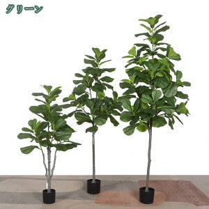 777~OFFN[| tFCNO[ CeAO[ lH ϗtA tFCN  CeA Vzj JXj VN NX}X ItBX X  v[g Mtg 蕨  