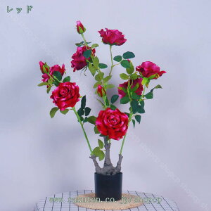 777~OFFN[|  A[gt[  lHϗtA ͂Ȃ bsv  ʐ^Be j JXj a    Ap[eB[A p Er