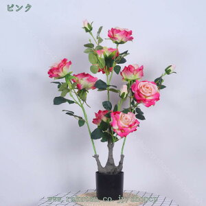 1000~OFFN[|  A[gt[  lHϗtA ͂Ȃ bsv  ʐ^Be j JXj a    Ap[eB[A p Er