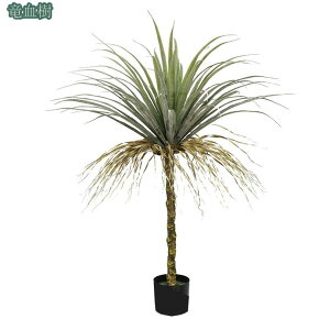 1000~OFFN[| tFCNO[ ^ rO ItBX c X ze Q  CeA  Vz VXj JXj JƏj zj ϗtA  A JtF  Lb`