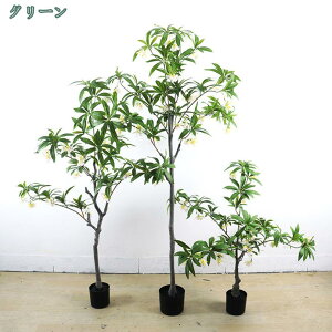 AtFCNO[ ϗtA 傫 A̐A 蕨 AWA e@ X sv ͂Ȃ  O  rO[  ItBX̑ 썑  JXj Vzj 