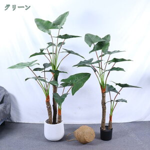 AtFCNO[ ϗtA 傫 A̐A 蕨 AWA e@ X sv ͂Ȃ  O  rO[  ItBX̑ 썑  JXj Vzj 