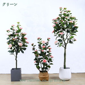 A tFCNO[ ϗA lHϗt ϗtA tFCN  Vv ItBX  CeA ^   lH j ̓ ̓ hV̓ z[ fR[V 