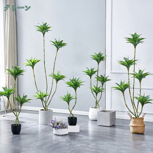 1000~OFFN[| tFCNO[ ^ rO ItBX c X ze Q  CeA  Vz VXj JXj JƏj zj ϗtA  A JtF  Lb`