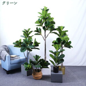 2000~OFFN[| lHϗtA ^ϗtA Xܗp rO Xܑ  A ͂Ȃ ϗtA j Əl  JXj JƏj  OΉ    Ce