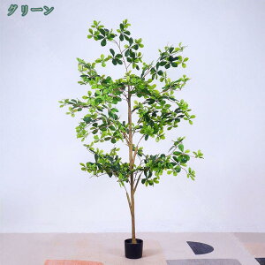 777~OFFN[| Ύ tFCNO[ { tFCNϗtA lHϗtA A CeA JXj Vzj Vv ItBX     Mtg v[