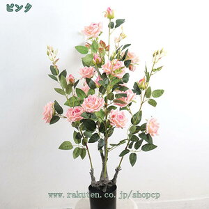 lHϗtA tFCNO[ A 1{ ^ lHA tFCN  CeA G u sv Q̐SzȂ rO c X Vz zj    