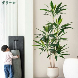 2000~OFFN[| Ύ tFCNO[ { tFCNϗtA lHϗtA A CeA JXj Vzj Vv ItBX     Mtg v[