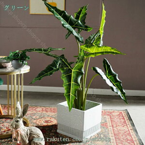 �t�F�C�N�O���[�� �J�X�j�� �ϗt�A�� ���A�� �G���g�����X��L���X�܋�Ԃɂ҂����� ���A�� ��^ �C���e���A �傫�� ������� �g�C�� ���� ���ʏ� �͂�Ȃ� �f�X�N �R���p�N�g �ډB�� �p�[