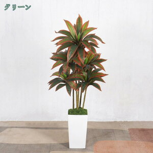 1000~OFFN[| tFCNO[ ϗtA tFCN  lHϗtA ^ ze CeA A  j ItBX  Vv ϗt O[Ƌ k  킢