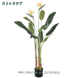 lHϗtA tFCNO[  ϗt CeAO[ ItBX z[  fR[V ze [ sv CeA  j a     