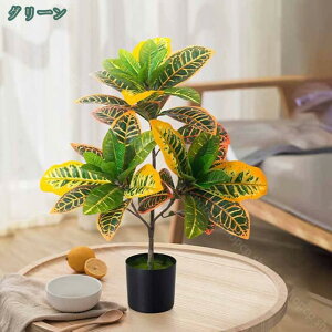 1000~OFFN[| tFCNc[ tFCNO[ ϗA lHϗt ϗtA  Vv ItBX  CeA ^   lH j ̓ ̓ hV̓ X u 