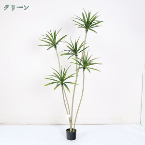 777~OFFN[| ^  CeA A tFCNϗtA lHϗtA   A[gO[  JXj X ItBX i` ItBXAQArO[Ao