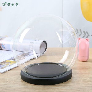 �����K���X�h�[�� ���̌` �K���X�P�[�X �����x�[�X �t�B�M���A ���ϕi �͌^ �v���U�[�u�h�t�����[ �����i �K���X�J�o�[ �h���C�t�����[ �W�� �f�B�X�v���C�P�[�X �f�R���[�V���� shopcp