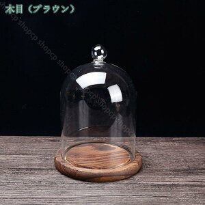 300~OFFN[| KXP[X  WG[ tBMA RNV ANZT[ f WG[ H|i P[L ho h ی WP[X RNVP[X fBXvCP