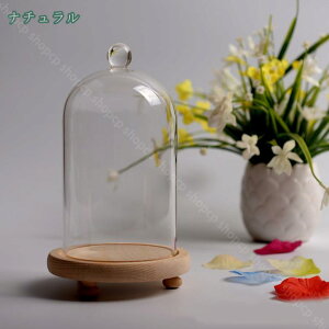 300~OFFN[| KXh[ WG[W RNV tBMA UVJbg 㑕 [P[X @\ XܓW iWP[X KXJo[ P[X V[P[X fBXvC