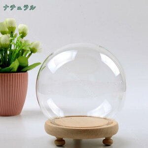 300~OFFN[| ` h[ [{bNX fBXvCP[X /Q/rO/ ی XܓW iW WG[ ho ۊ [P[X h[Jo[ V[P[X KXh