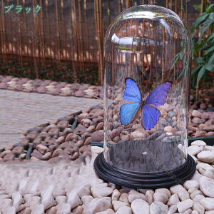 1000~OFFN[| KXP[X CeA ̓WP[X WG[ tBMA u RNV i hoJo[ ^ ho h P[X rO[ KXh[ [P