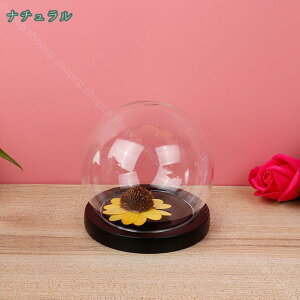 KXh[ x̍ KXi RNVP[X ؐx[X KXJo[ fXNgbv ~jԑ tBMA ̏ 悢 i KXfBXvCP[X sho