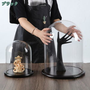 2000~OFFN[| e KXh[ CeA i hoJo[ vU[uht[ Ft fBXvC ho h~  ƒp v[g Mtg  H|i 