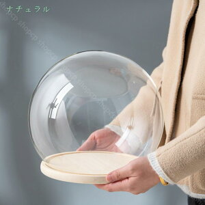 ^ KXh[ 傫 KXJo[ e RNV  fXNgbv fBXvC WG[/tBMA ̏ iωԕr hoJo[ fBXvCP[X shop